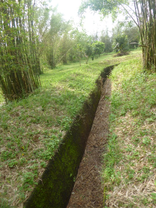 The villagers living in the tunnels used these trenches to bring in supplies