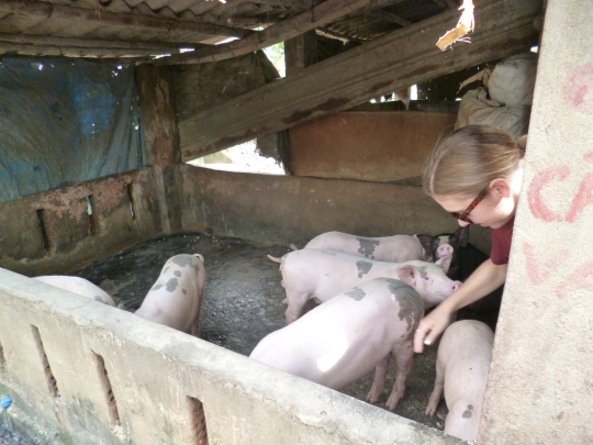 We visited a small farm where I made friends with some pigs