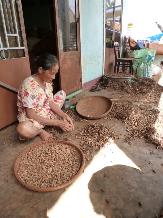 We visited several people's homes and got a taste of the kinds of trades that people have.  This woman is shelling peanuts at her peanut farm
